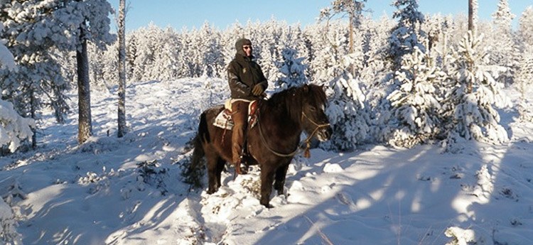 Ridturer i vildmarken kring Valfjället